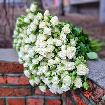 Кустовые розы Белые 60 см