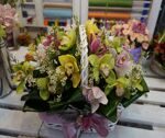 Корзина цветов "Чудесные орхидеи"