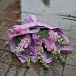 Букет из 7 ароматных маттиол