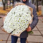 Большой букет ромашек ( 35 хризантем Бакарди)