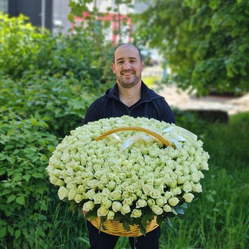 Огромная корзина из 301 белой розы