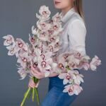 Орхидея Цимбидиум розовая (ветка)