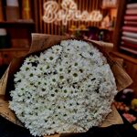 Большой букет ромашек ( 35 хризантем Бакарди)