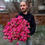 Кустовые розы малиновые