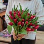 Тюльпаны  красные