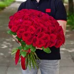 101 роза (50 см)  красная