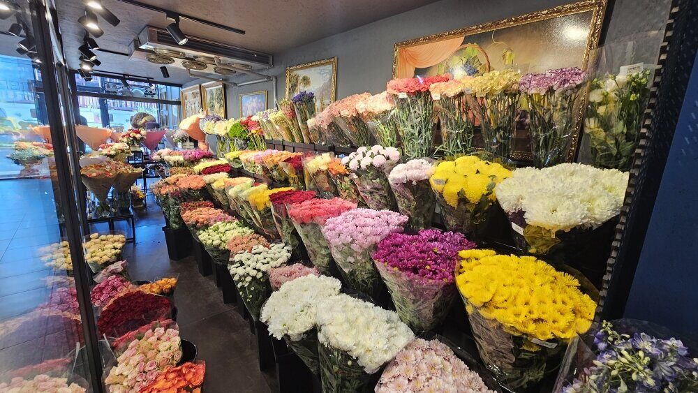 Наши магазины