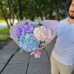 Раз, два, три гортензии