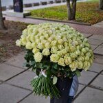 101  белая роза (80 см) огромный букет