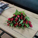 Тюльпаны  красные