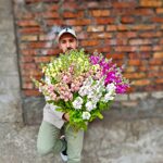 Маттиола ассорти