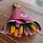 11 тюльпанов в яркой гамме
