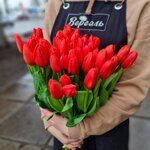 Тюльпаны  красные