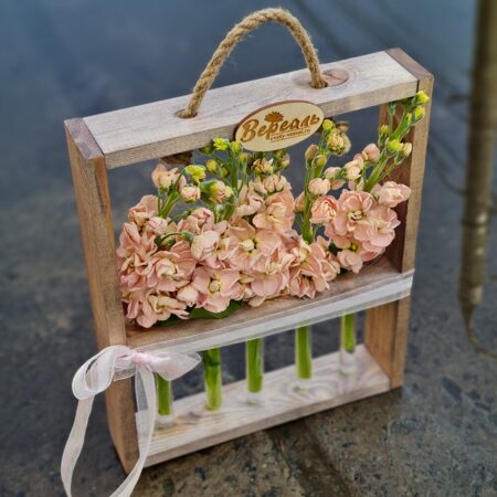 Рамочка с колбочками (персиковая маттиола)