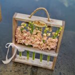Рамочка с колбочками (персиковая маттиола)