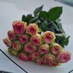 Пионовидная роза Country Spirit Princess (розовая)