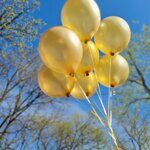 Шары гелиевые золотые 7 шт