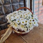 Корзина с хризантемами ромашками Шик