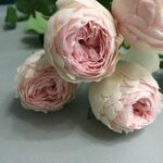 Пионовидные кустовые розы пастельных тонов