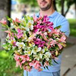 Альстромерии микс (нежные)