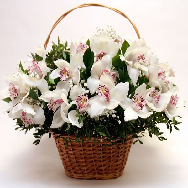 Цветочная корзина "Орхидея" (мини)