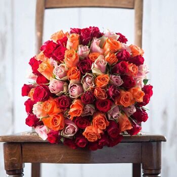 Розы Кенийские разноцветные 40см
