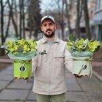 Коробочка  из 7 зеленых орхидей