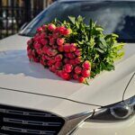 Коралловый пион Coral Charm