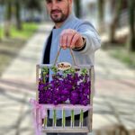 Рамочка с колбочками ( фиолетовая  маттиола)