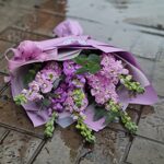 Букет из 7 ароматных маттиол