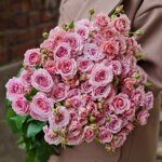 Пионовидные розовые кустовые розы
