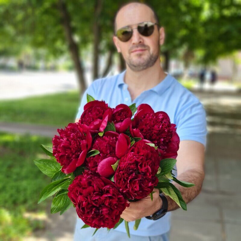 Красные крупные пионы