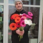 Герберы разноцветные (ассорти)