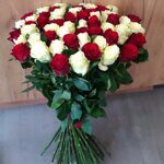 51 роза белая и красная (80 см)