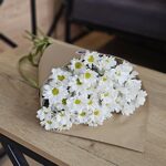 7 ромашковых хризантем в конверте
