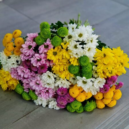 Хризантемы кустовые ассорти