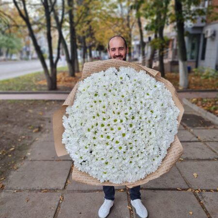 Ромашковый гигант