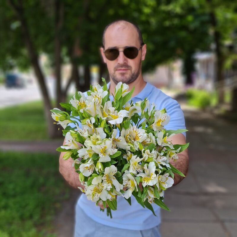 Альстромерии белые