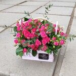 Стильный ящик с малиновой кустовой розой