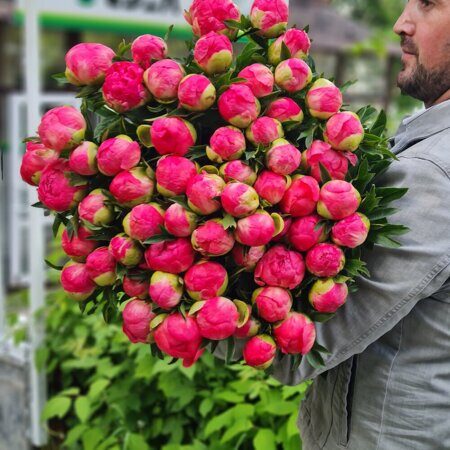 Коралловый пион Coral Charm