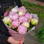 Букет 11 пионов Сара Бернар