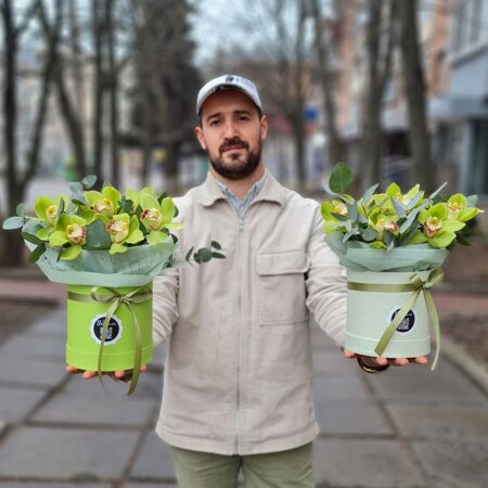 Коробочка  из 7 зеленых орхидей