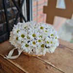Корзина с хризантемами ромашками Шик
