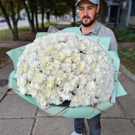 Безумно большой букет из белых хризантем сорта Балтика
