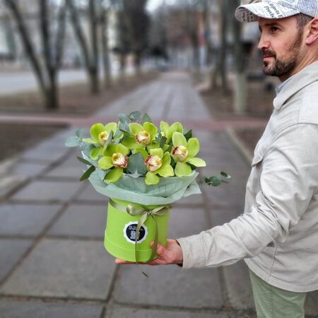 Коробочка  из 7 зеленых орхидей