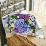 Голубая гортензия и Ко