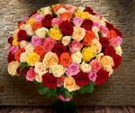 101 разноцветная роза (50 см)