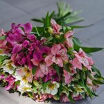 Альстромерии микс (нежные)